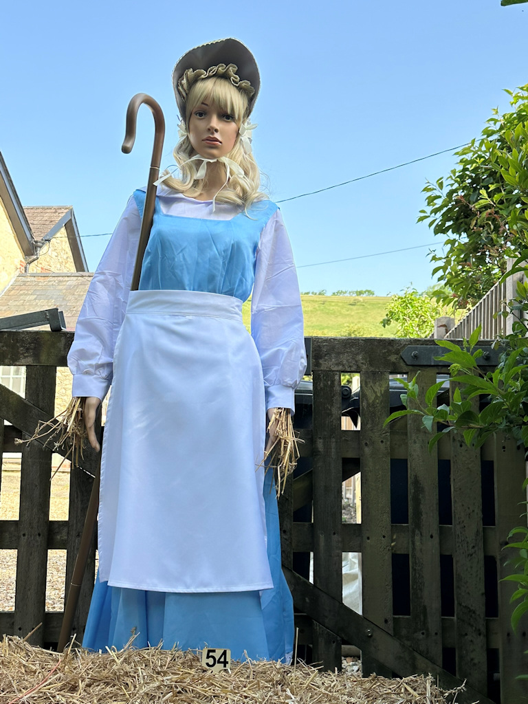 Image 46
